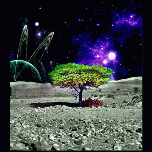 Wohedness : 3 Way Split